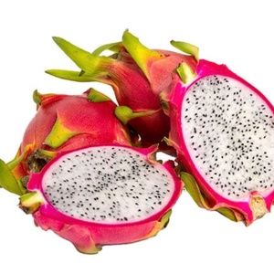 Dragon Fruit Big Cuttings (Sweet Variety- Pre-Season BLOW-OUT Sale!)